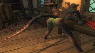 argonian hentai porn | 3d skyrim porn